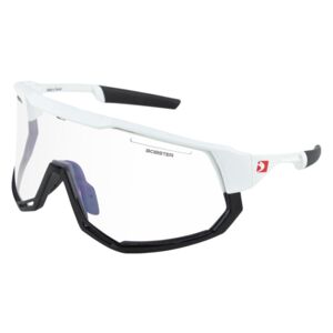 Bobster Eyewear Freewheel Sunglasses